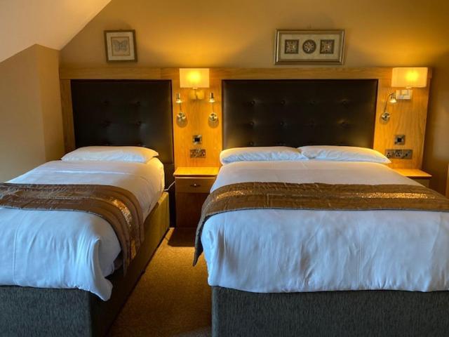 Tailors Lodge, Continental Breakfast Castleisland Exteriör bild