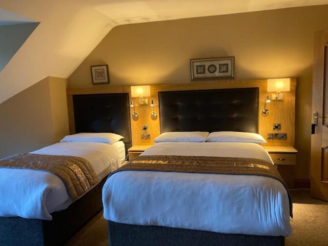 Tailors Lodge, Continental Breakfast Castleisland Exteriör bild